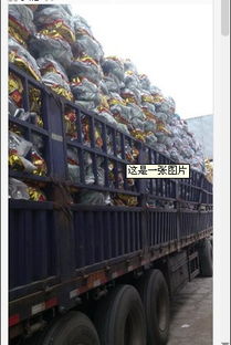 開封五金工具商行 一站式農具批發(fā)零售與五金產(chǎn)品研發(fā)的領航者